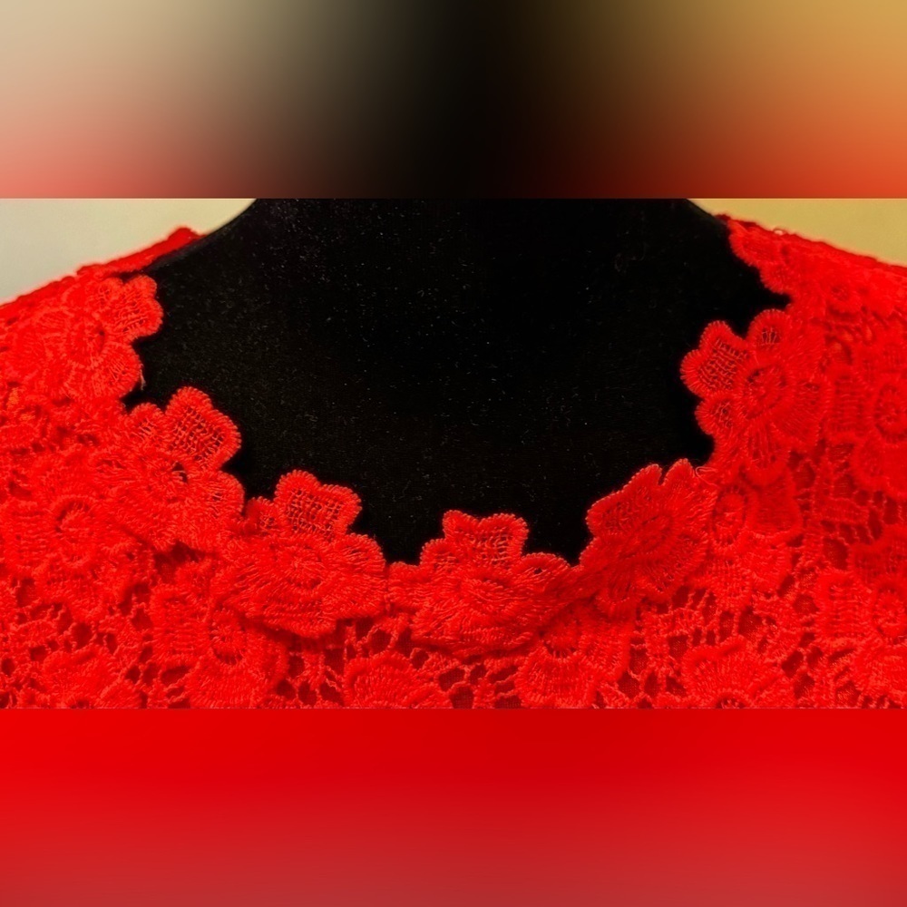 Red Lace and Satin Dress - Picture 7 of 12